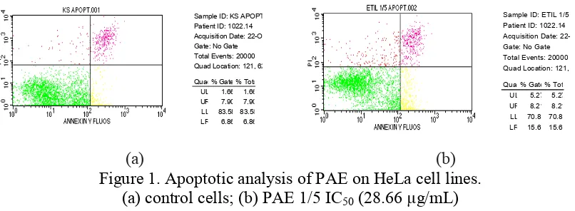 Figure 1. Apoptotic analysis of PAE on HeLa cell lines.  