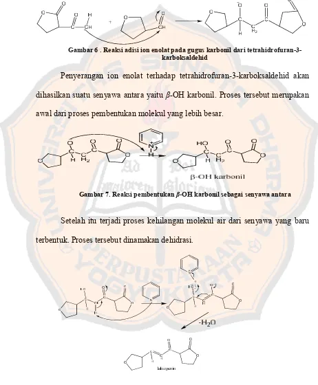 Gambar 6 . Reaksi adisi ion enolat pada gugus karbonil dari tetrahidrofuran-3-