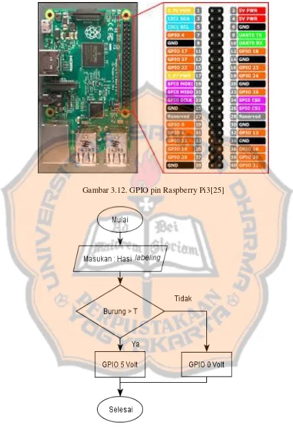 Gambar 3.12. GPIO pin Raspberry Pi3[25] 
