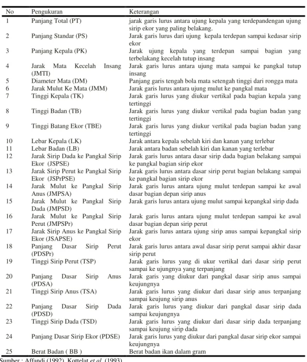 Tabel 1 . Pengukuran morfometrik ikan Lais K.limpok 