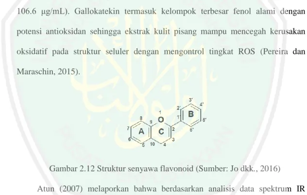 Gambar 2.12 Struktur senyawa flavonoid (Sumber: Jo dkk., 2016) 