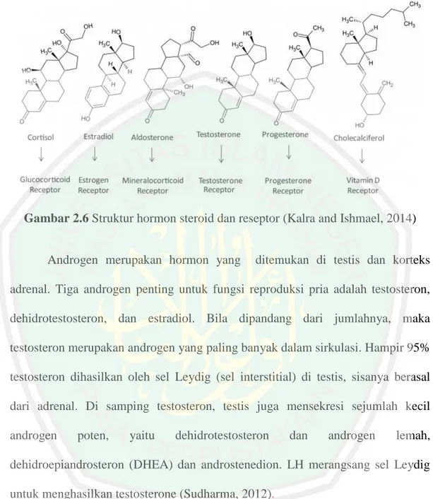 Gambar 2.6 Struktur hormon steroid dan reseptor (Kalra and Ishmael, 2014) 
