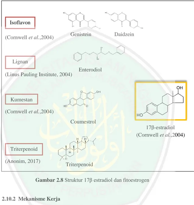 Gambar 2.8 Struktur 17β estradiol dan fitoestrogen 