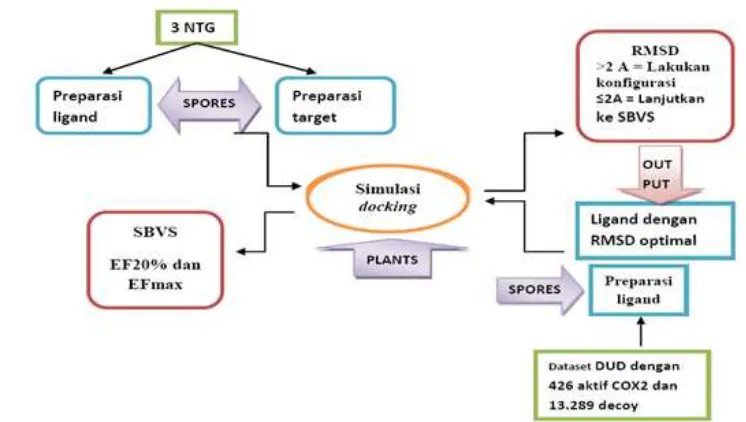 Gambar 1. Skema konsruksi dan validasi protokol SBVS menggunakan ChemAxon, SPORES, PLANTS