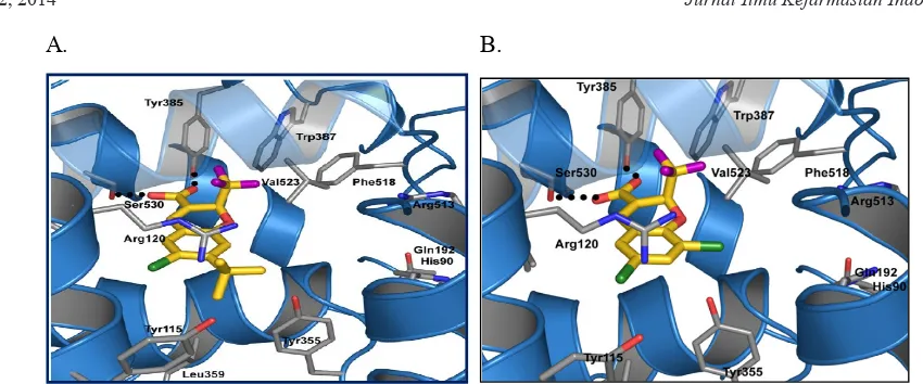 Gambar 3. A. Interaksi sisi aktif  kristal struktur COX-2 dengan kode PDB 3MQE dengan SER530 dan TYR38
