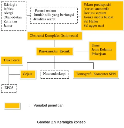 Gambar 2.9 Kerangka konsep 