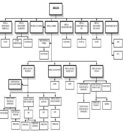 Gambar 4.2 Struktur Organisasi PT. ABC 