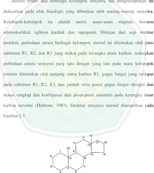 Gambar 2.5 Struktur senyawa steroid (Poedjiadi, 1994) 