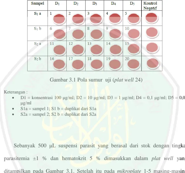 Gambar 3.1 Pola sumur  uji (plat well 24) 