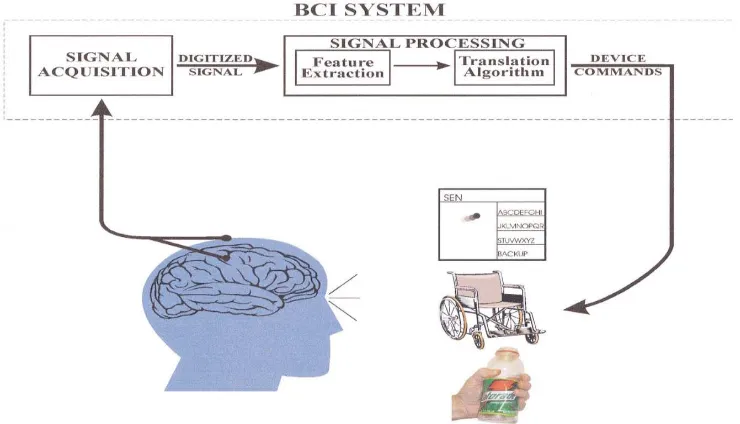 Gambar 2.5 Bagian-bagian Dasar dari Desain Sistem BCI (Walpow, 2002). 