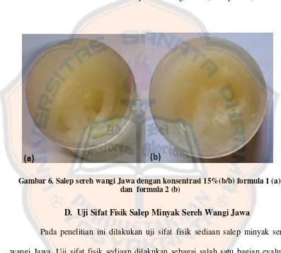 Gambar 6. Salep sereh wangi Jawa dengan konsentrasi 15%(b/b) formula 1 (a);  