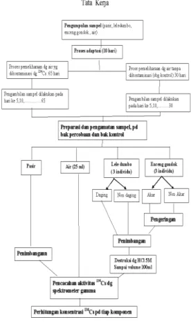 Gambar 1: Langkah kerja  