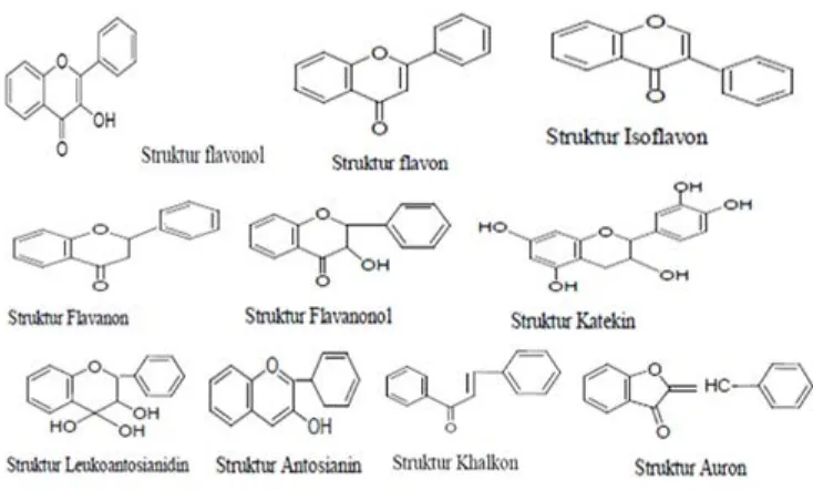 Gambar 3. Struktur kimia dari berbagai flavonoid (Robinson, 1995). 