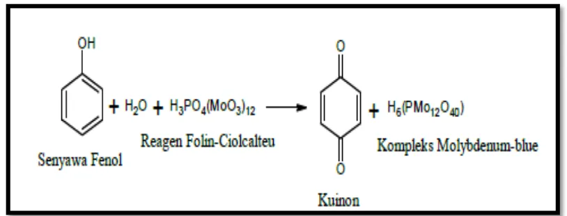 Gambar 6. Reaksi senyawa fenol dengan reagen Folin-Ciocalteu (Azlim, Ahmed, Syed, Mustafa, Aisyah dan Kamarul, 2010)