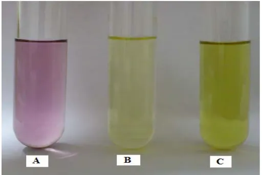 Gambar 10. (A=Kontrol negatif [blanko DPPH], B= Kontrol positif [Rutin + DPPH], C= Larutan uji [Ekstrak metanolik umbi bidara upas + DPPH]) 