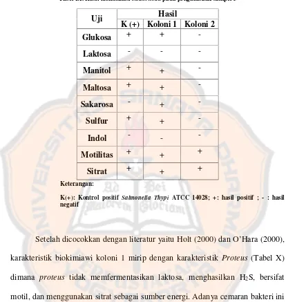 Tabel IX. Hasil identifikasi Salmonella pada pengambilan sampel 3