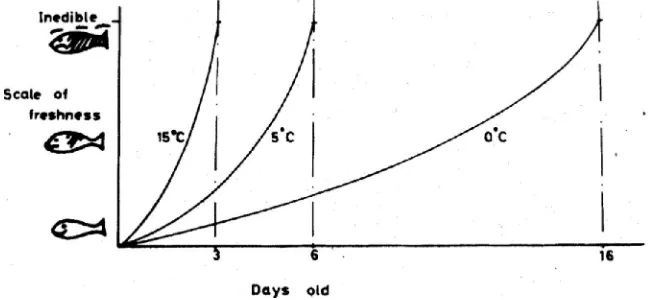 Gambar 2. 1 Grafik Penurunan Kualitas Ikan; Lean Fish (Myers. 1981) 