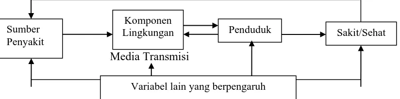 Gambar 2.2 Diagram Skematik Patogenesis PenyakitAhmadi, 2005) 