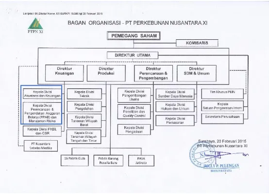 Gambar 9. Struktur organisasi PTPN XI 
