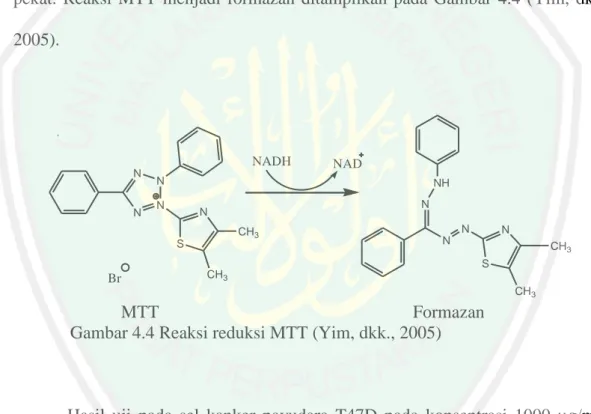 Gambar 4.4 Reaksi reduksi MTT (Yim, dkk., 2005) 