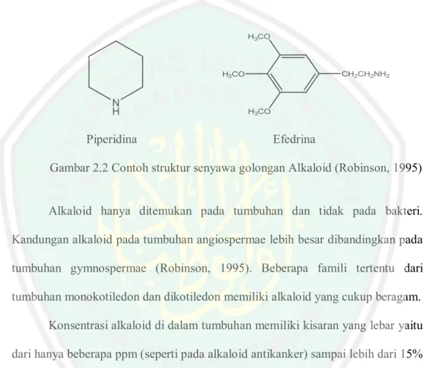 Gambar 2.2 Contoh struktur senyawa golongan Alkaloid (Robinson, 1995)