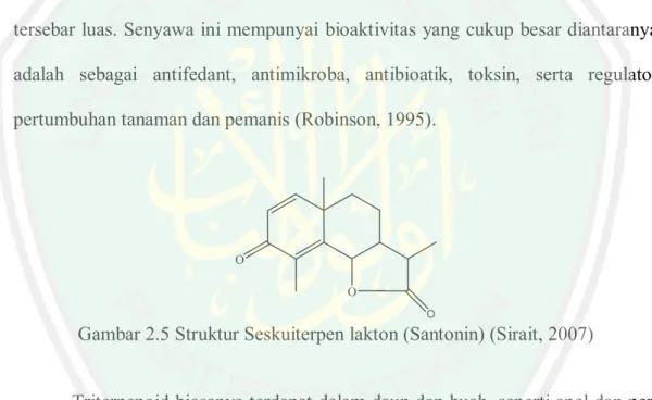Gambar 2.5 Struktur Seskuiterpen lakton (Santonin) (Sirait, 2007)