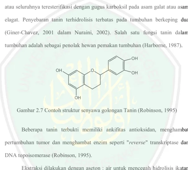 Gambar 2.7 Contoh struktur senyawa golongan Tanin (Robinson, 1995)