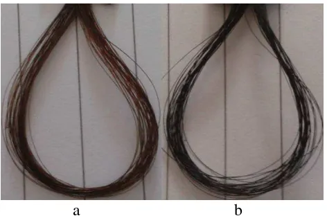 Gambar 4.1.  Pengaruh perbedaan konsentrasi pirogalol dan tembaga (II) sulfat terhadap perubahan warna rambut uban dengan lama perendaman 4 jam 