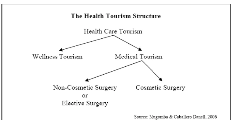 Gambar 1. The Health Tourism Structure 
