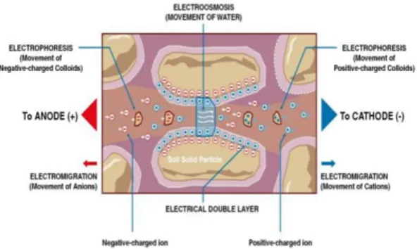 Gambar  2.1.  Ilustrasi  proses elektrokinetik  (Rustamaji.2007) 