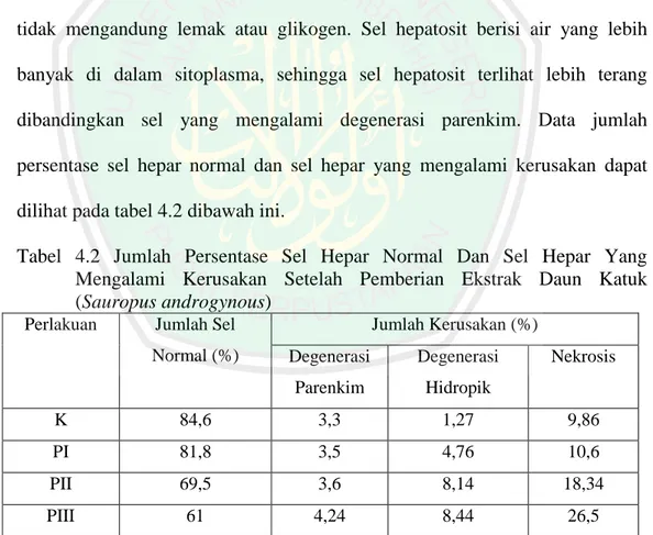 Tabel  4.2  Jumlah  Persentase  Sel  Hepar  Normal  Dan  Sel  Hepar  Yang  Mengalami  Kerusakan  Setelah  Pemberian  Ekstrak  Daun  Katuk  (Sauropus androgynous)   