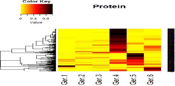 Gambar 6a. Histogram fuzzy clustering senyawa, jejaring bobot koneksi protein-GO proses biologi 