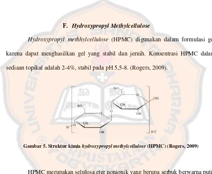 Gambar 5. Struktur kimia hydroxypropyl methylcellulose (HPMC) (Rogers, 2009) 