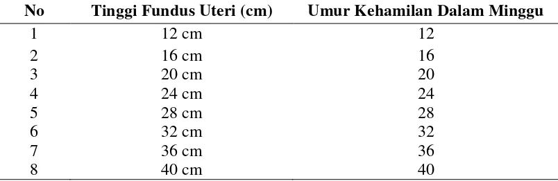 Tabel 2.1. Ukuran Tinggi Fundus Uteri 