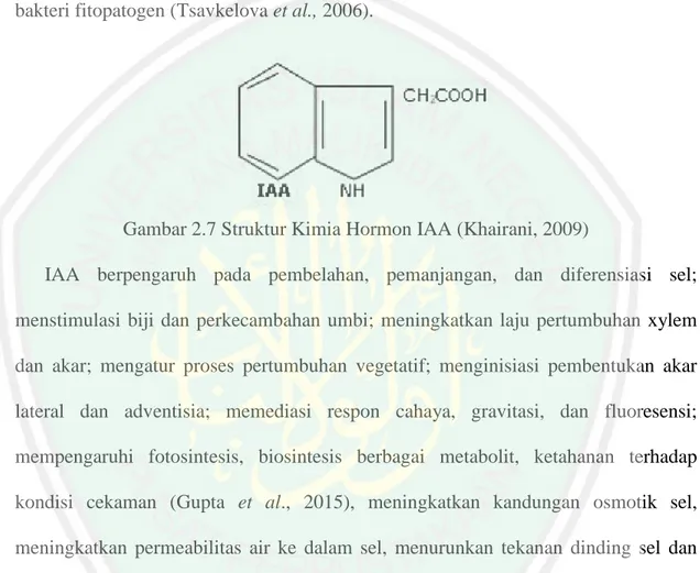 Gambar 2.7 Struktur Kimia Hormon IAA (Khairani, 2009) 