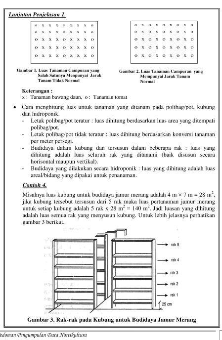 Gambar 1. Luas Tanaman Campuran yang  