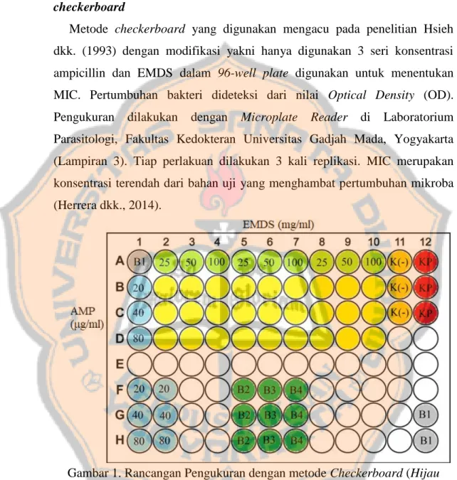 Gambar 1. Rancangan Pengukuran dengan metode Checkerboard (Hijau  muda: variasi konsentrasi EMDS tunggal; Biru: variasi konsentrasi ampicillin 