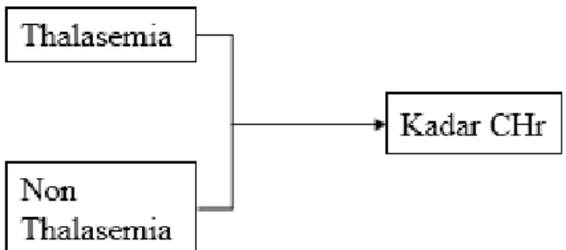 Gambar 3. Kerangka Konsep 