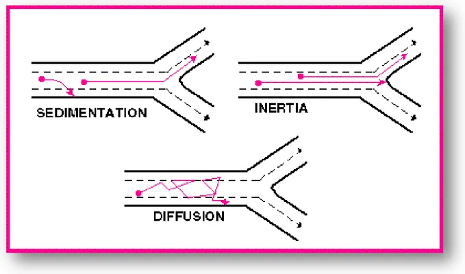 Gambar 4. Mekanisme Deposisi Partikel Aerosol 