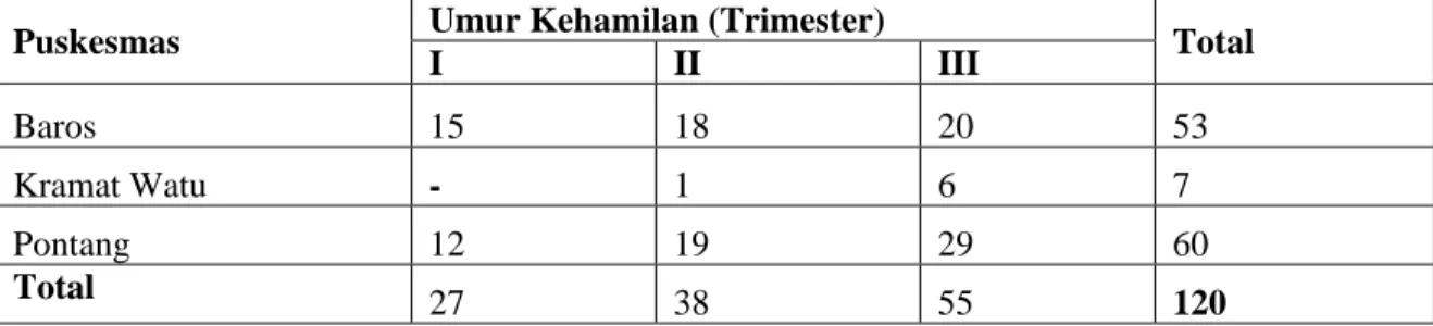 Tabel 4.1. Wilayah Puskesmas dan Jumlah Responden menurut Usia Kehamilan  Puskesmas  Umur Kehamilan (Trimester) 