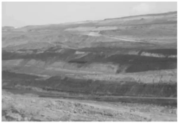 Gambar 1: Lokasi pengambilan sampel area penamban- penamban-gan PTBA