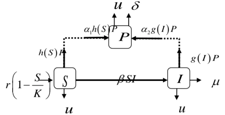 Gambar 1 Diagram Kompertemen Model Matematika 