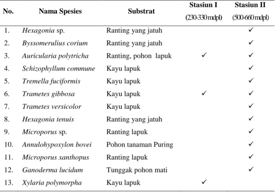 Tabel 3.1 Hasil Inventarisasi Fungi Makroskopis di Kawasan Hutan Gunung Giribangun  Kelurahan Girilayu, Kecamatan Matesih, Kabupaten Karanganyar 