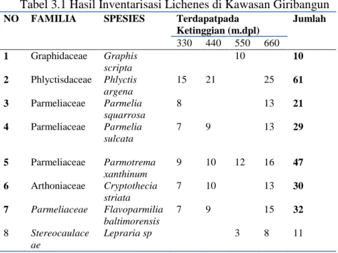 Tabel 3.1 Hasil Inventarisasi Lichenes di Kawasan Giribangun 