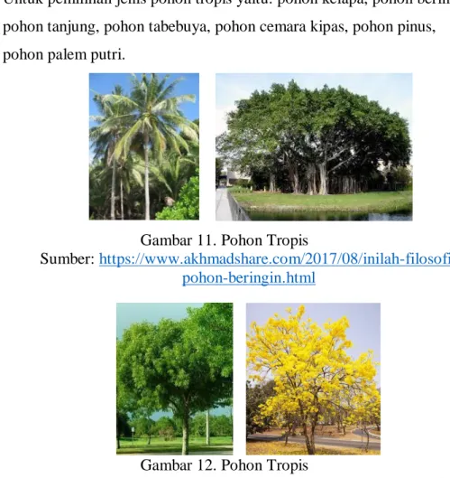 Gambar 11. Pohon Tropis 