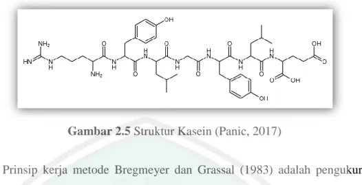 Gambar 2.5 Struktur Kasein (Panic, 2017) 