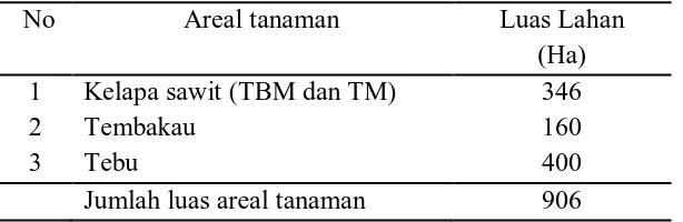Tabel 3. Luas areal tanaman yang dikelola PT. Perkebunan Nusantara II kebun Helvetia tahun 2010/2011 