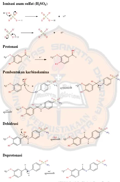 Gambar 10. Mekanisme reaksi pembentukan senyawa 4-[(4 ˈ-hidroksi-3ˈ-metoksibenzilidena)-amino]-benzensulfonamida 