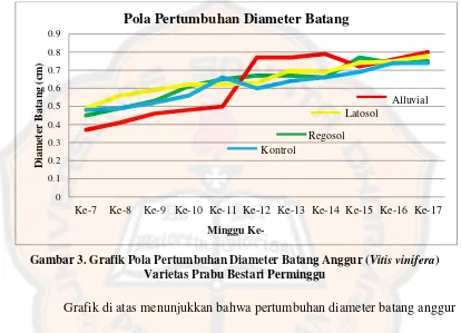 Gambar 3. Grafik Pola Pertumbuhan Diameter Batang Anggur (Vitis vinifera) 