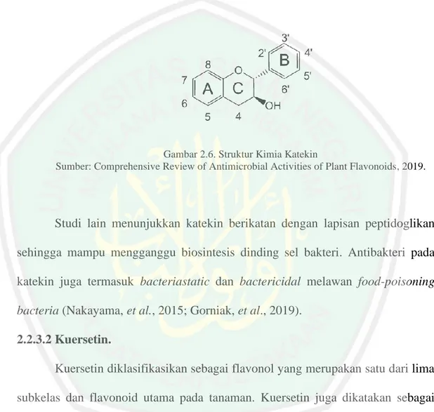 Gambar 2.6. Struktur Kimia Katekin 